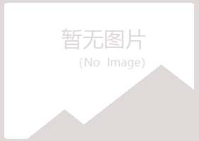 延长县山柏会计有限公司